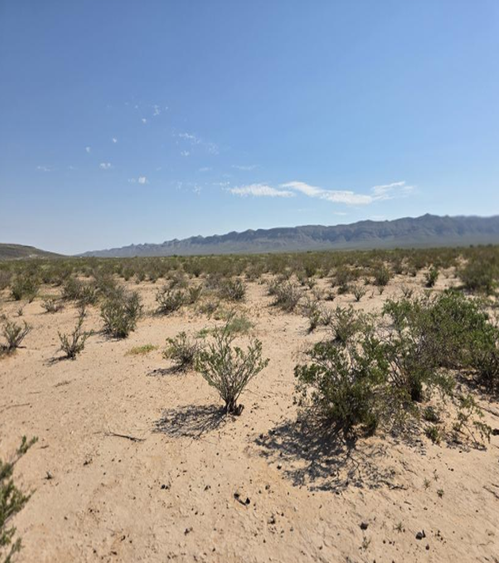 RayGen signs MOU with Blacktail Energy for hybrid power hub in El Paso, Texas